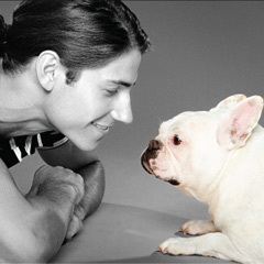 dog_icon
